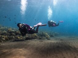 Darke Hull:Scuba Diving