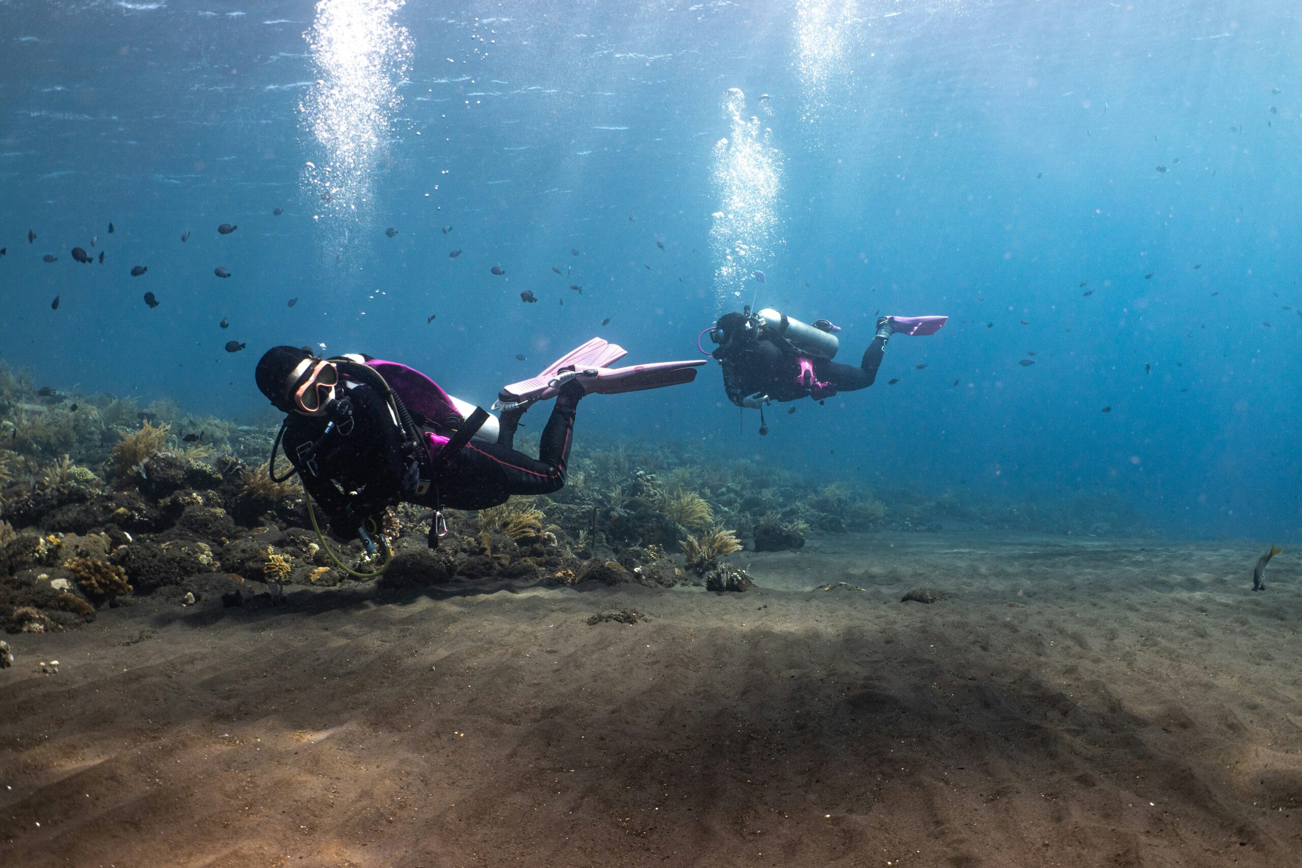 Darke Hull:Scuba Diving