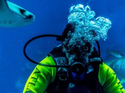 science of scuba diving benefits