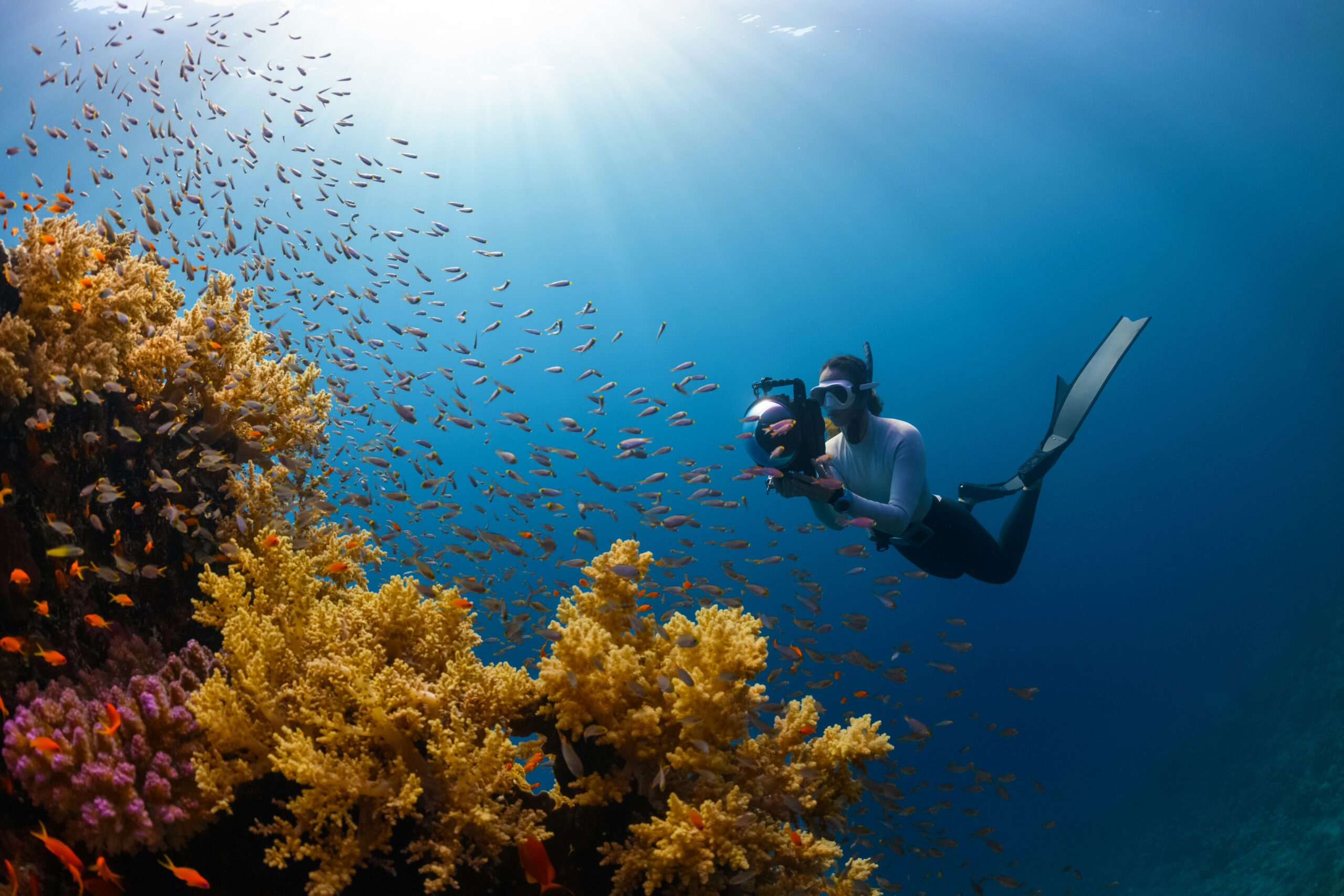 Essential Scuba Diving Safety Tips for a Safe Underwater Adventure